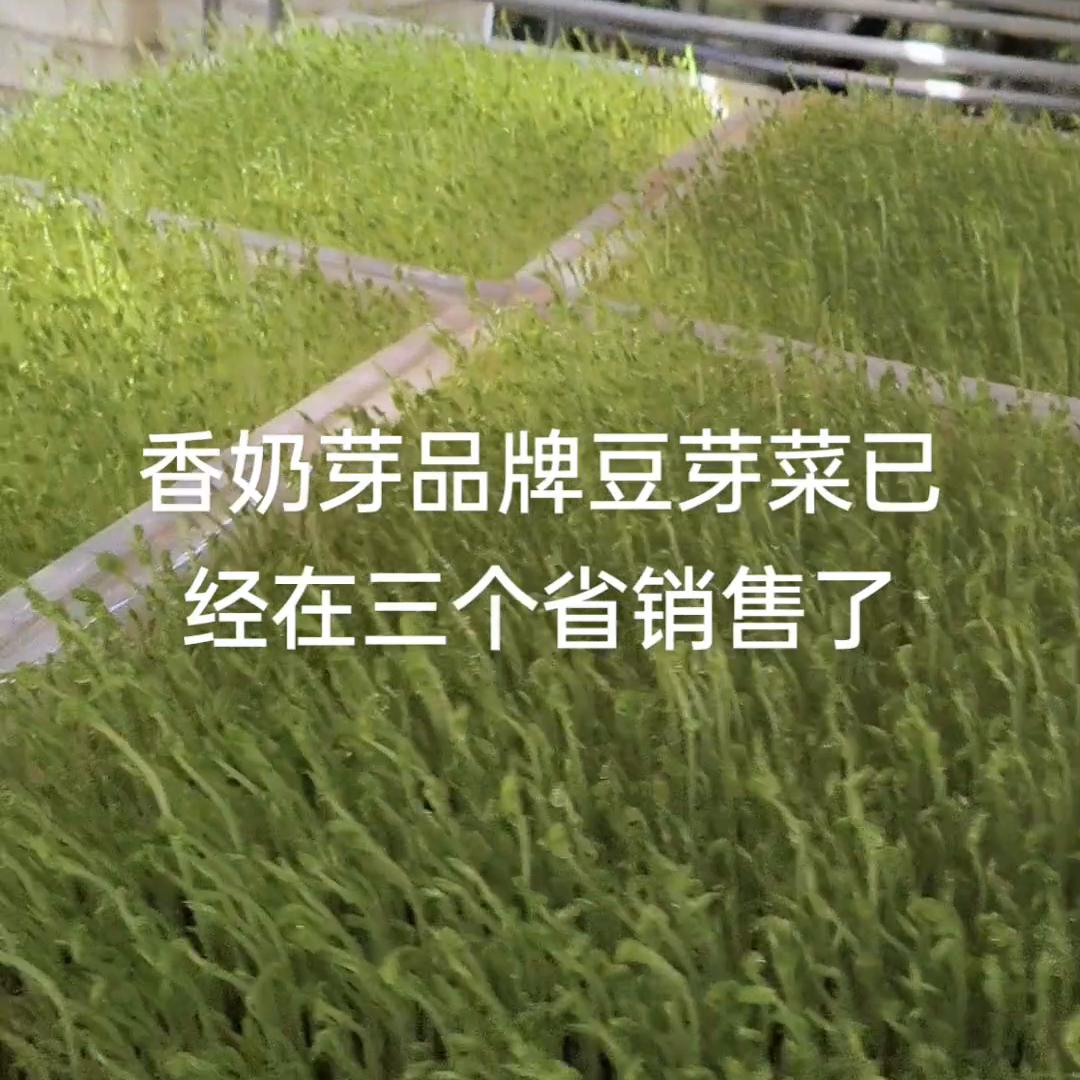 现在经济环境不景气，有个天天挣钱的事情做就不错了，千万...