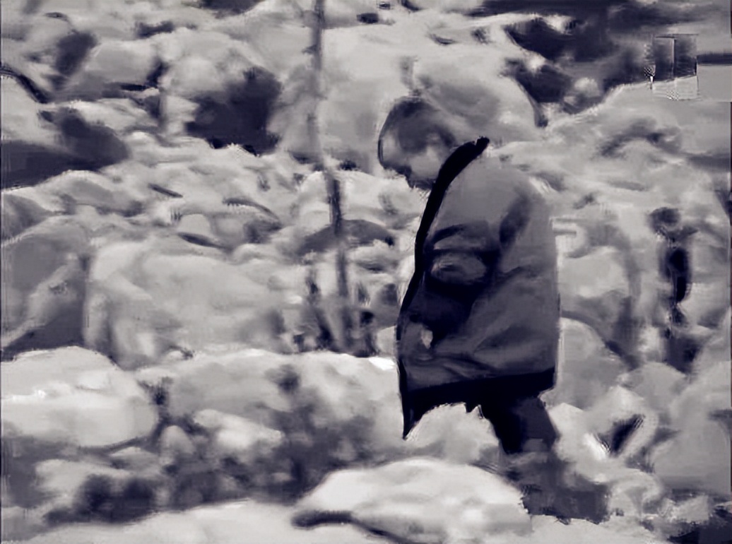 卢卡莫德里奇为什么叫魔笛,木笛魔笛卢卡莫德里奇