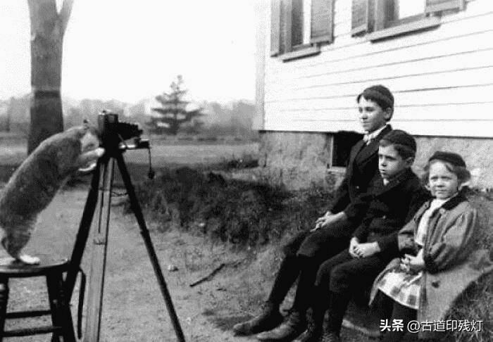 变态的纳粹德国，*光脱**犹太人女人衣服，集体*杀屠**!2