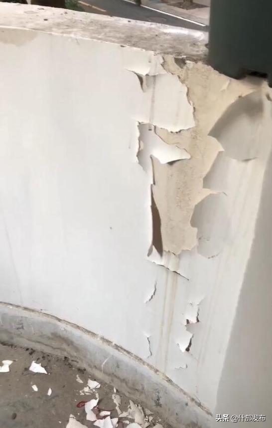 网友“果敢”、“一朵小仙女”、“芯猪悦猪”……你们反映的问题有官方回复了