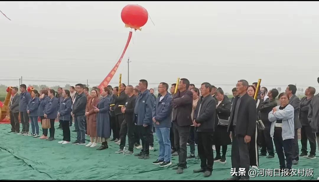 邓州市甜叶菊种植基地,促进产业发展农民增收