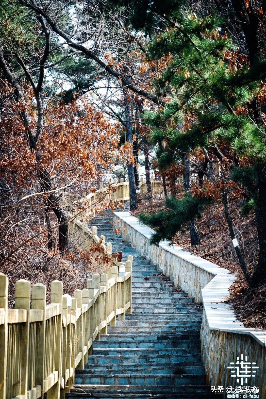 家门口室内新运动馆,家里的运动场地