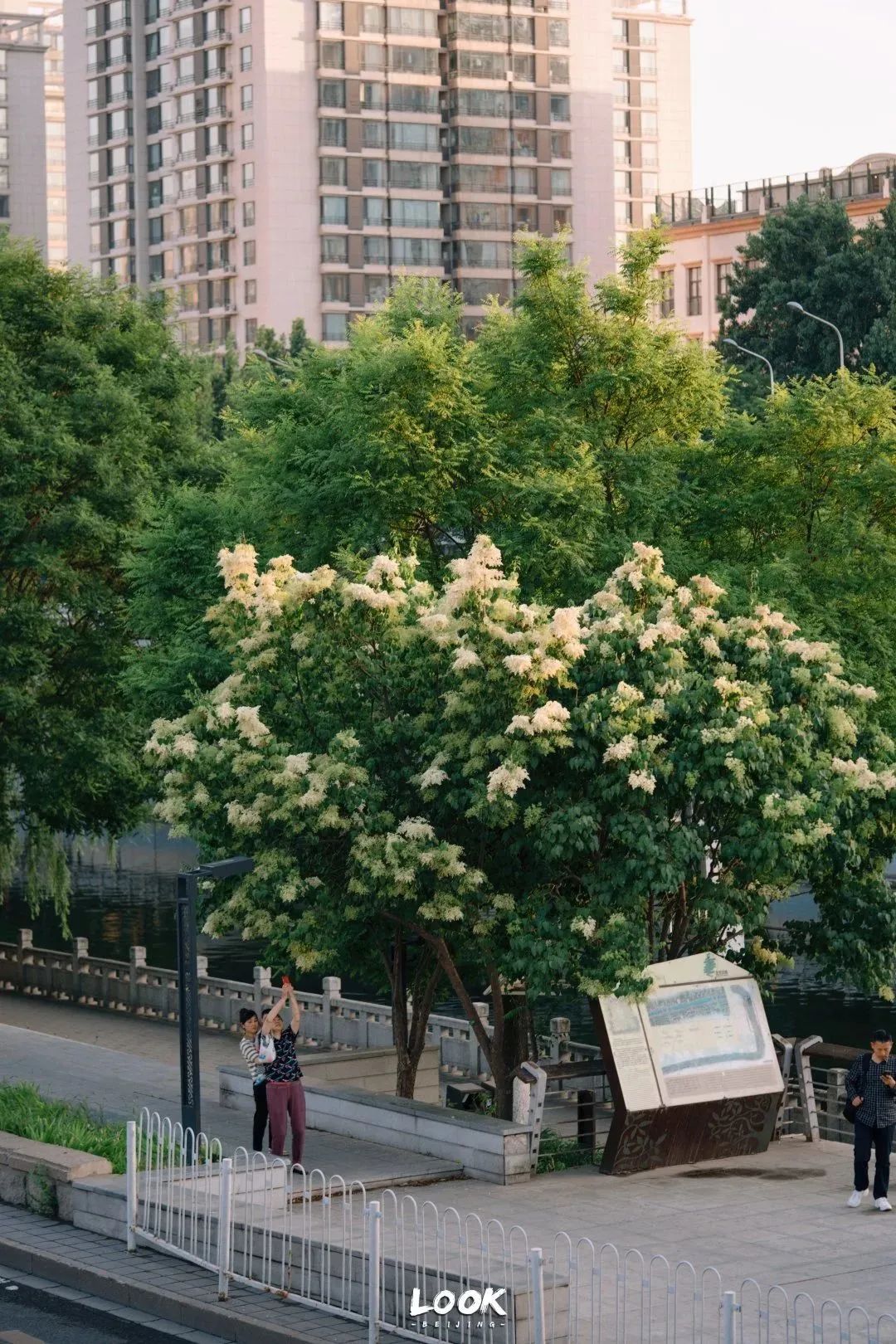 北京居庸关花海栈道,北京四季花海景区