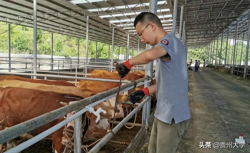 贵大这个学院,学生们的升学故事真精彩!