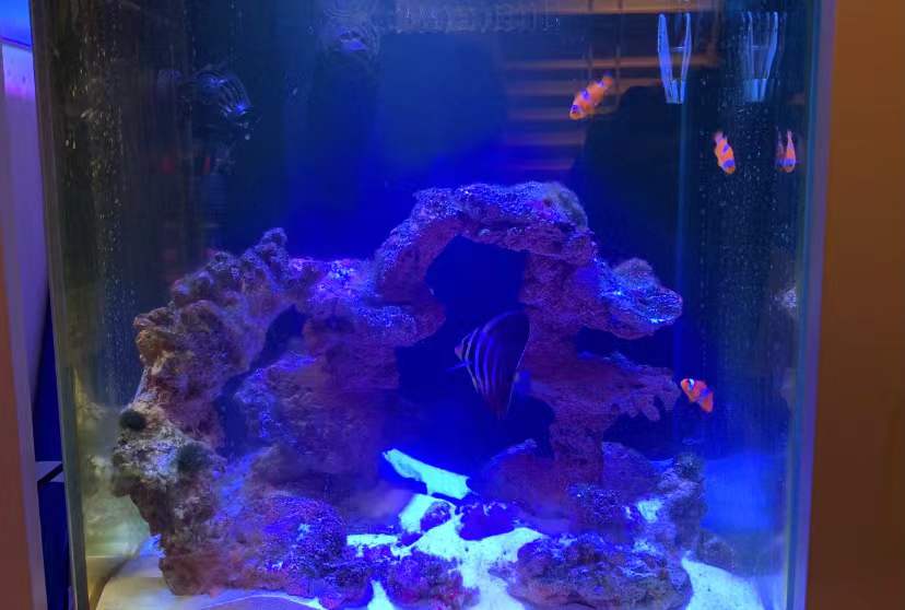 上海一宝妈将60平小家爆改出3室，坚持卫浴四分离，细节令人佩服