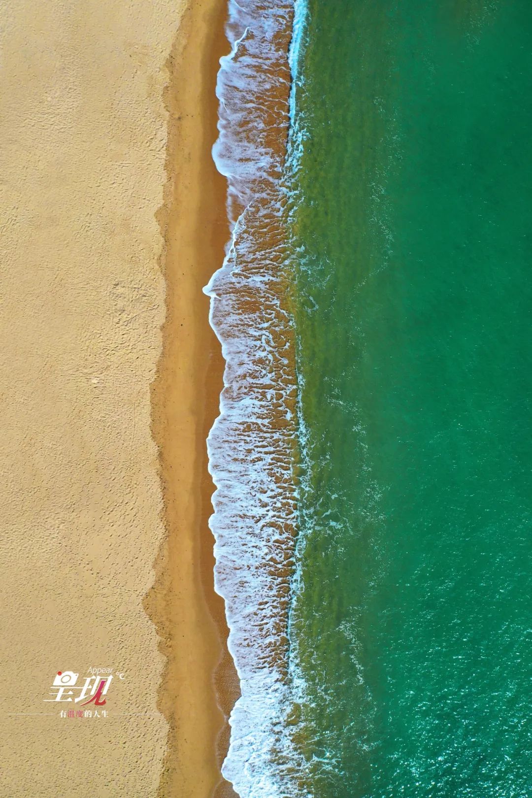 “宝藏青年”从北京到威海，在海边开复古咖啡馆，择一城等一人