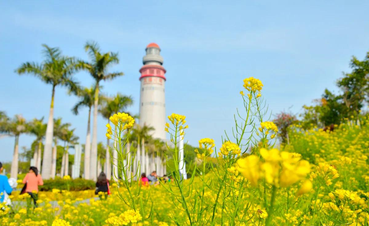 在厦门生活,在厦门生活工作的感受