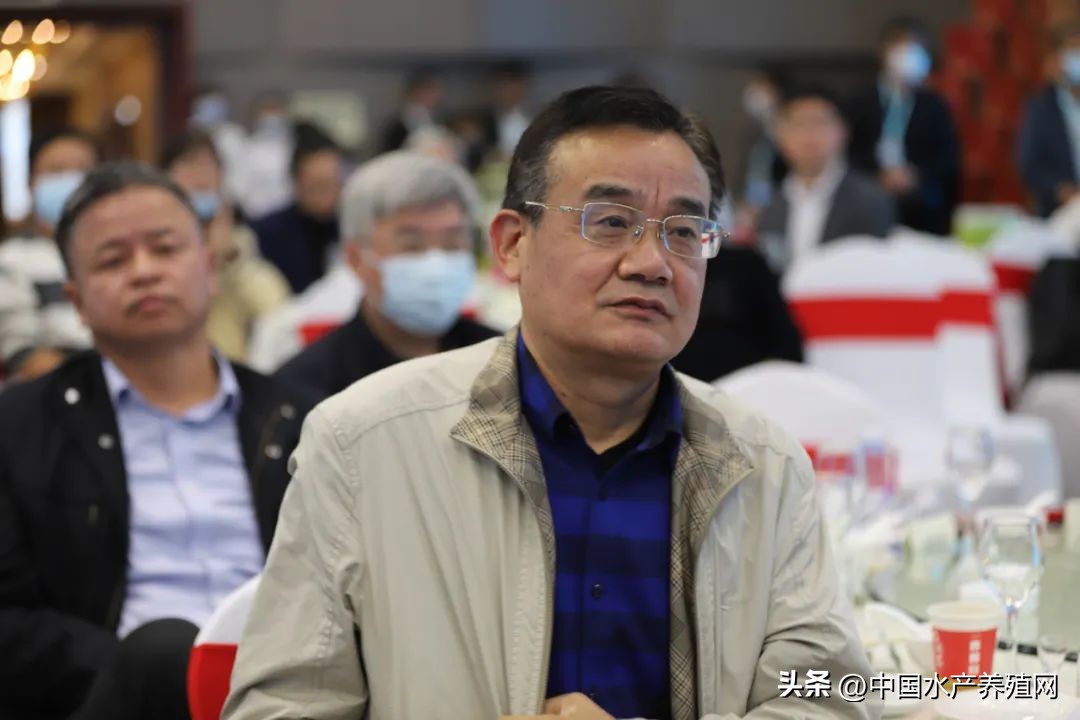 阳澄湖大闸蟹路线图,去阳澄湖大闸蟹攻略路线