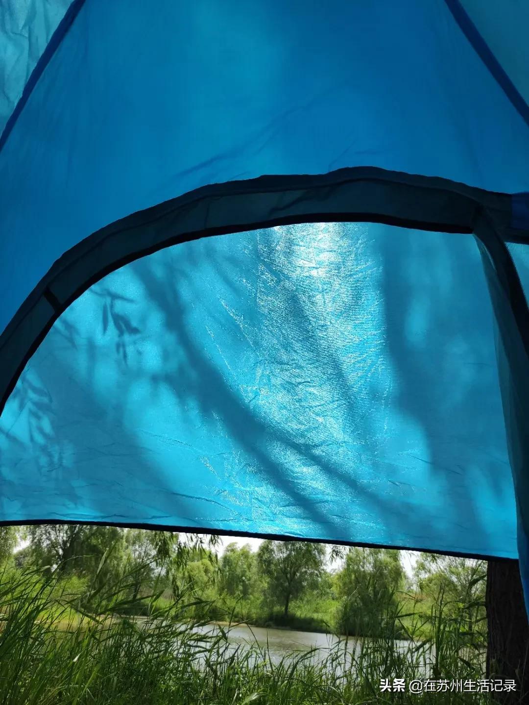 苏州东山风景区免费景点有哪些,苏州西山区附近网红打卡景点