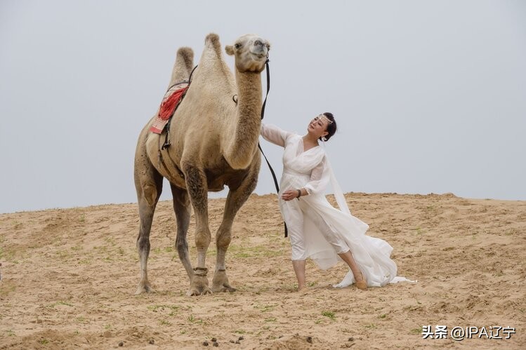 国际摄影协会创作基地草甘沙漠IPA辽宁摄影作品展示（第一期）