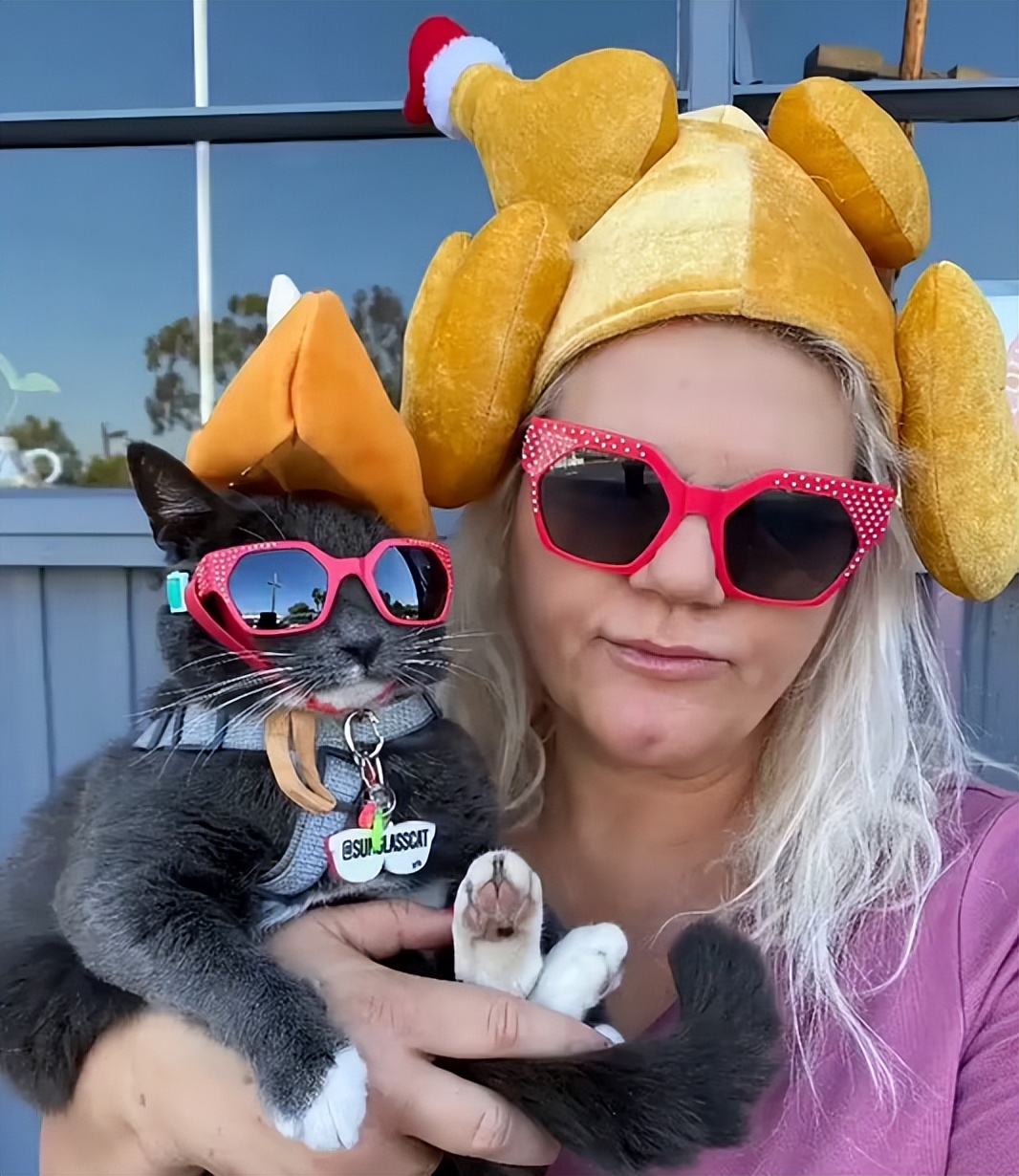 天生没眼睛的猫咪,天生没有眼睛的猫