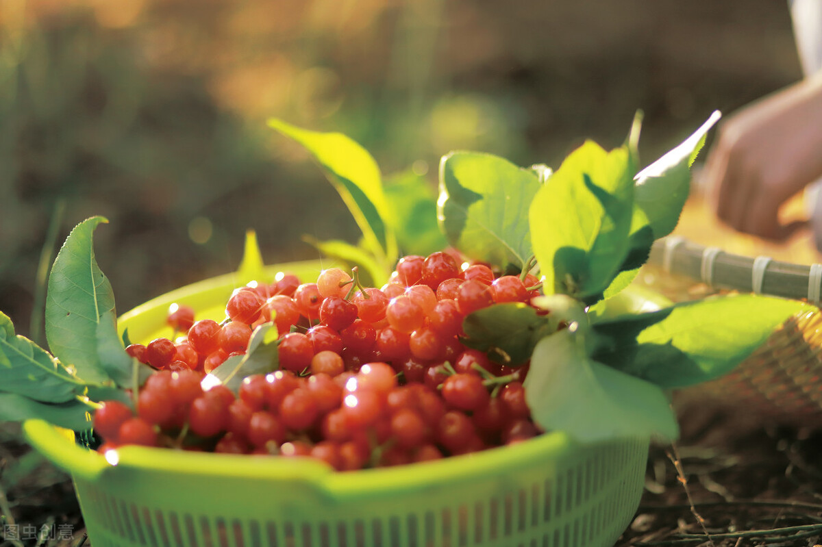 写红和绿的古诗词,古诗中的红绿配