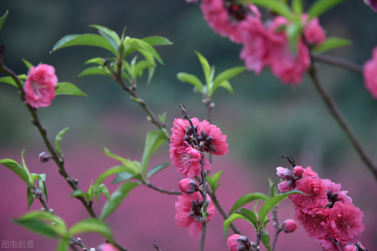 大多数老人退休后的现状,退休后老人的生活状态有哪些