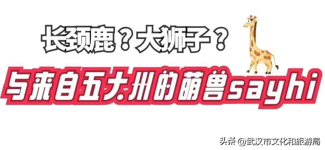 又红又大的草莓欢迎采摘,最近的草莓采摘在哪里