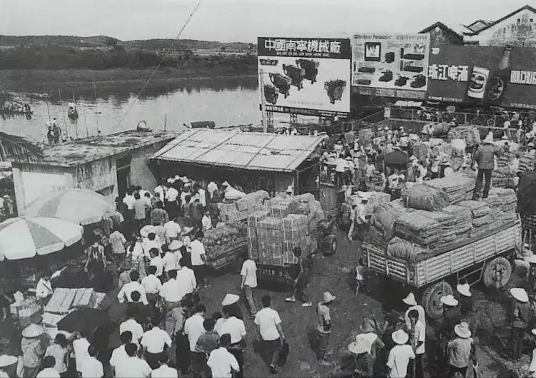 我的旅游回忆,我的越南芒街旅行记