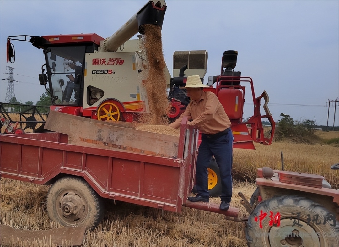 暖心温情的一幕,温情一幕精彩片段
