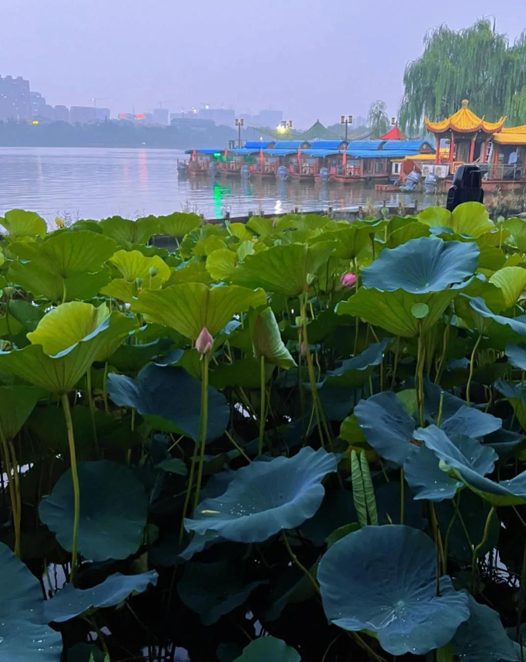 山东省济南市旅游景点大全有哪些,济南市历下区旅游景点分布图
