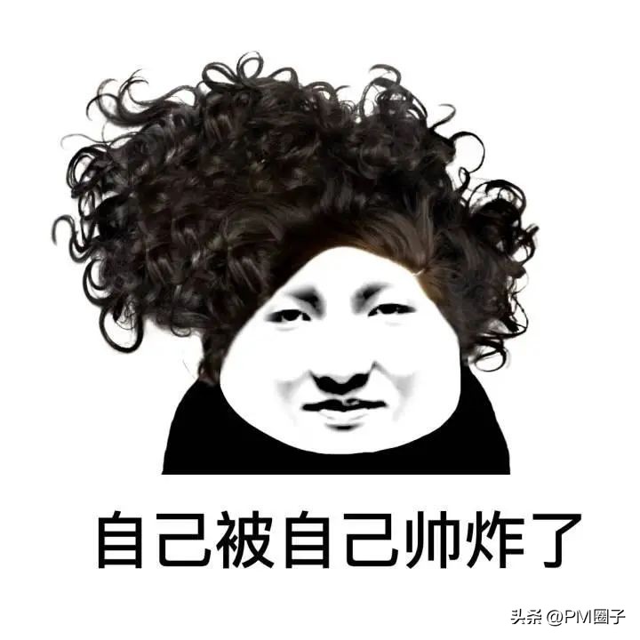 你怎么看项目经理,如果你是项目经理这个项目怎么管