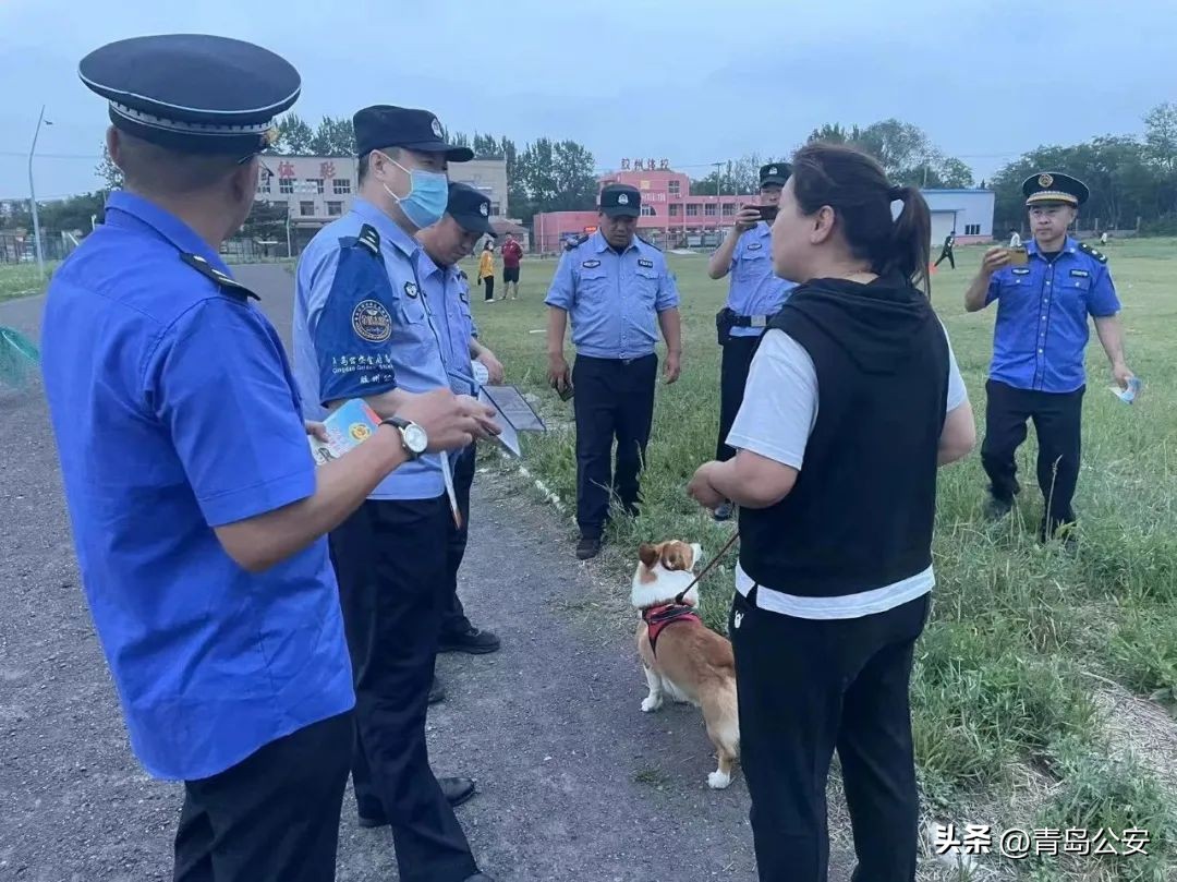 胶州家养狗,胶州禁养什么犬