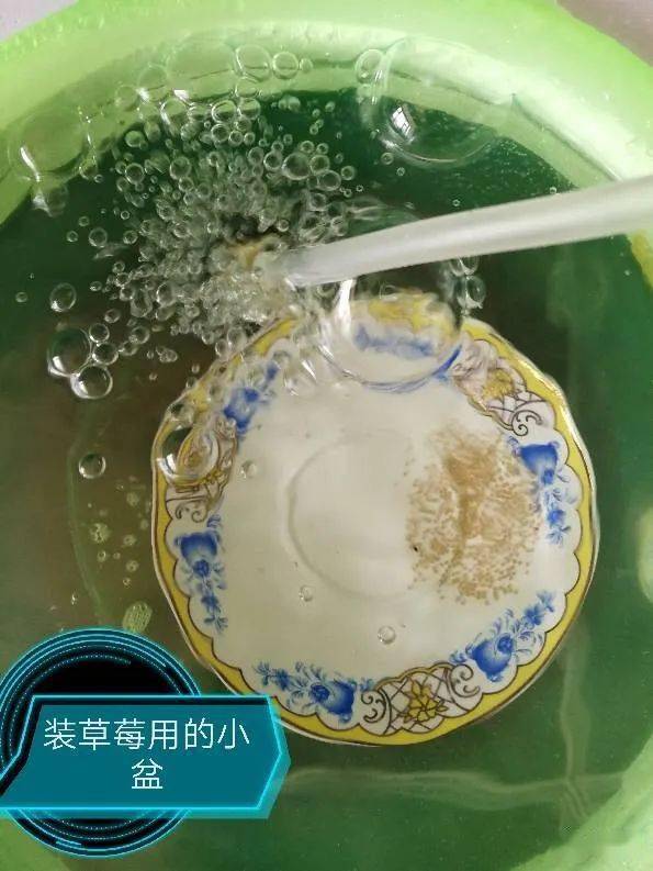 金波子一般熟悉环境多久开始繁殖,繁殖金波子用多大缸