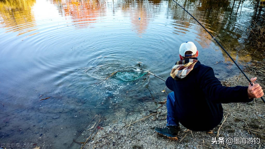 买鱼竿避坑指南,买鱼竿避免踩坑的方法