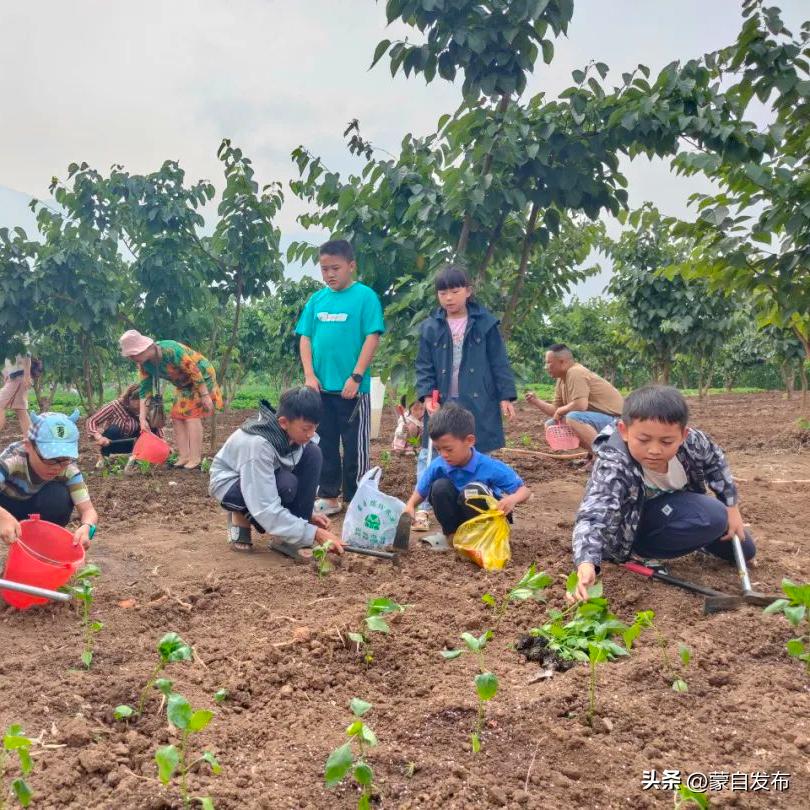 蒙自烟火气,蒙自最有烟火气的地方