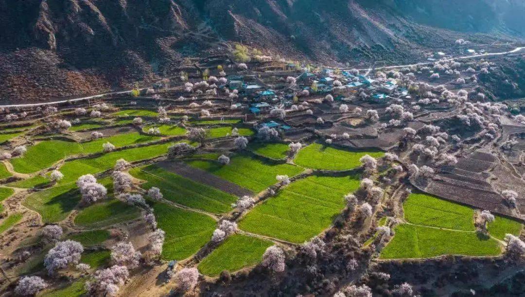 雪山下的某个小镇,雪山下的梦幻球场