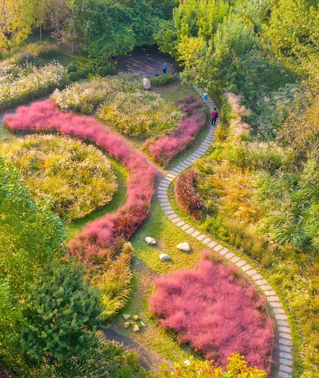 “路”人皆知“坛”花常见！泰达这些精品道路、花坛等你来打卡！