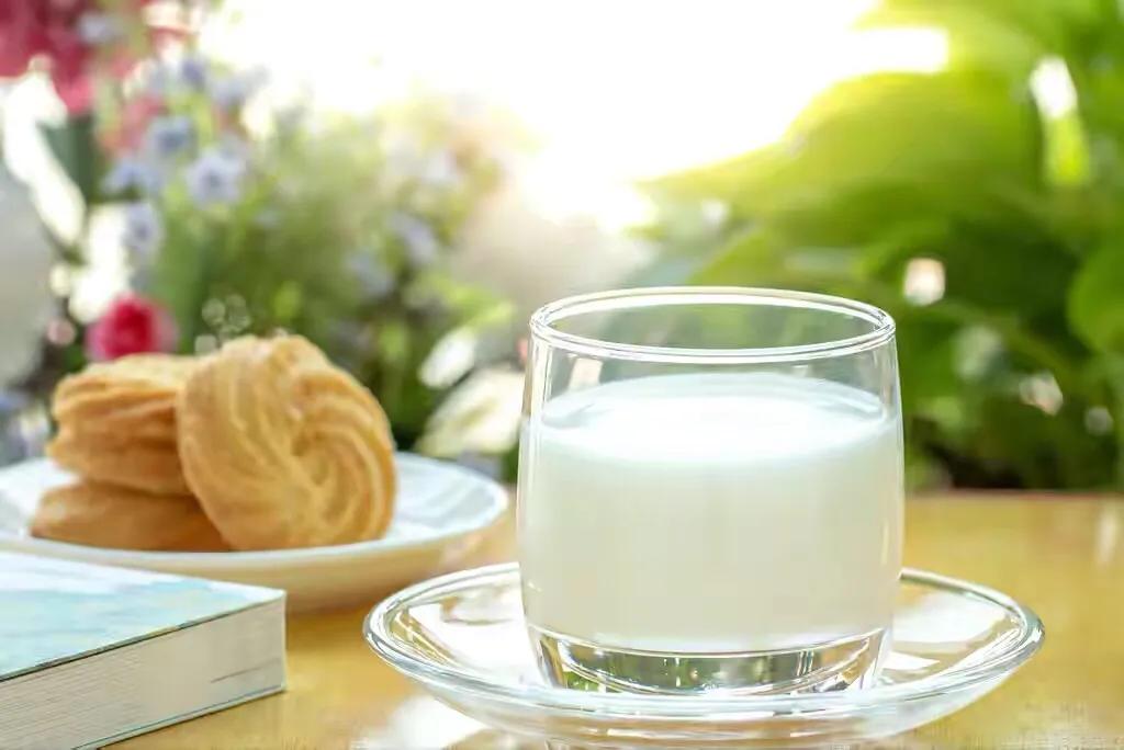 老年人适合饮用高蛋白质的食物吗,老年人如何进行高蛋白饮食