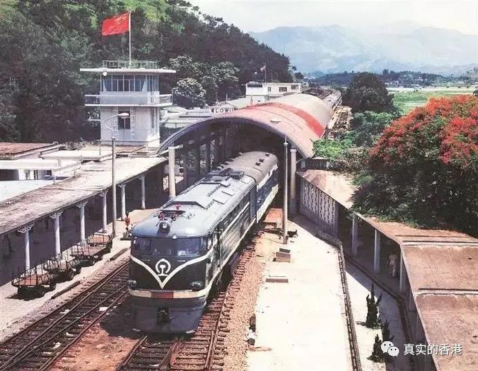 香港人感受大陆过年,香港人是怎样过年的