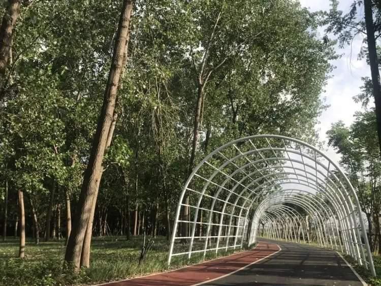 长宁区必去的打卡地,长宁打卡地方