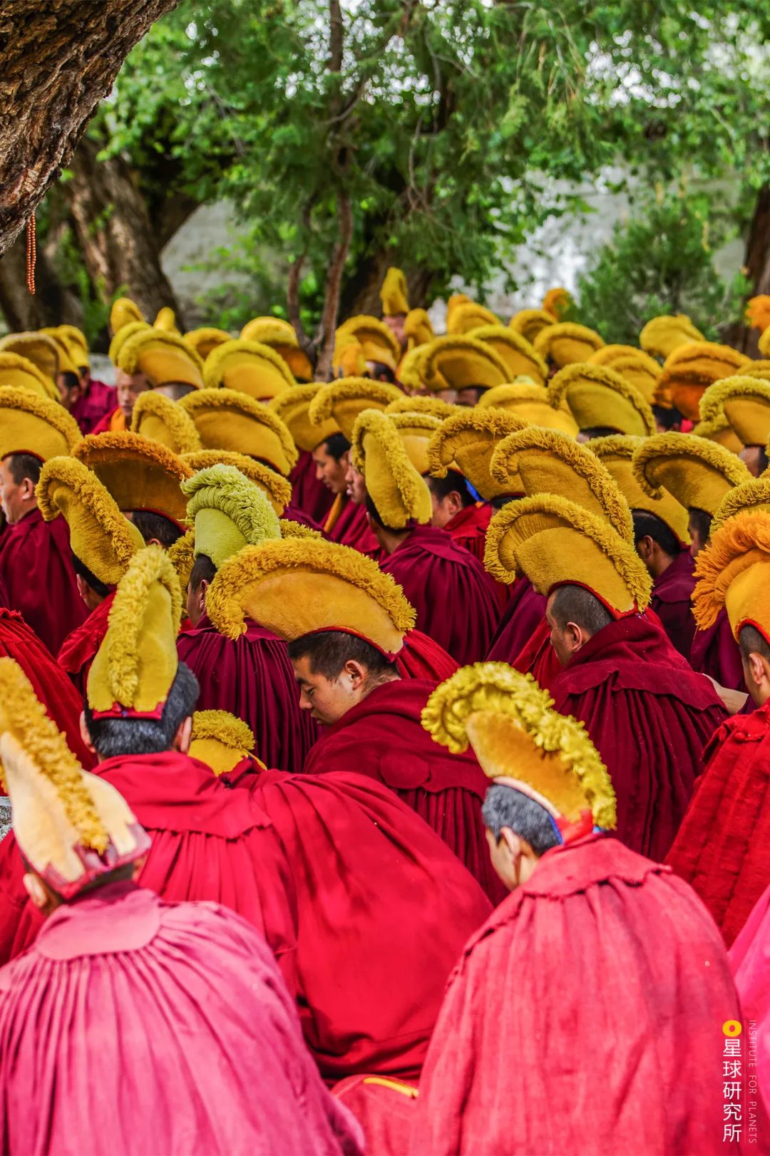 在布达拉宫可以看到什么,去布达拉宫看什么