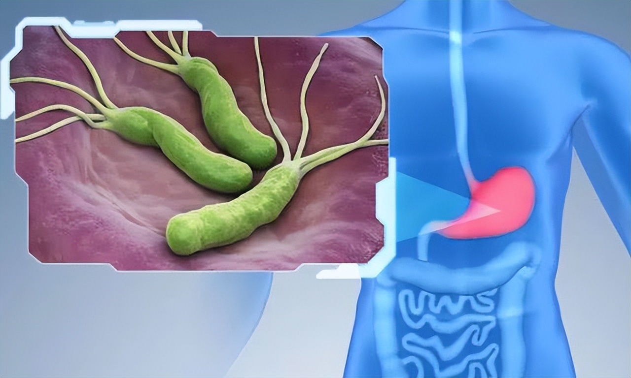 甲硝唑多少钱一瓶怎么用,甲硝唑可以治疗哪些病症