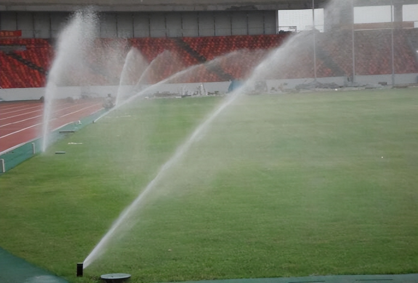 足球场天然草皮成本多少钱,足球场天然草坪价格