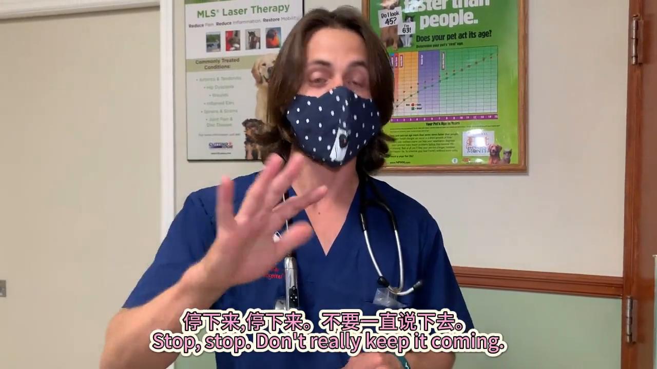 狗子韧带断裂手术恢复效果,狗子韧带拉伤怎么办