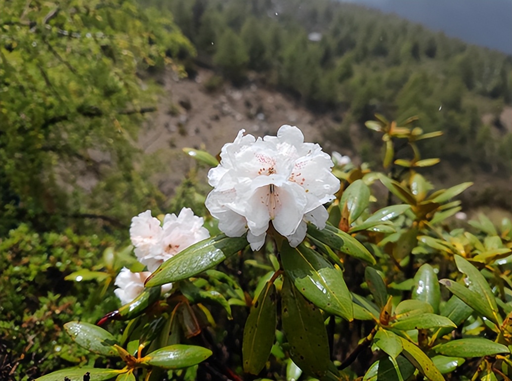 最美的雪山秘境,小众雪山秘境