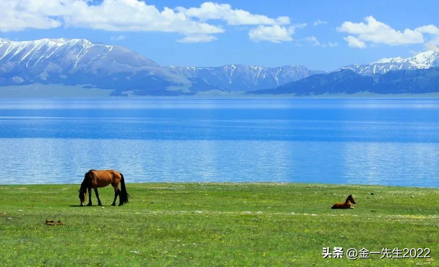 货与币的区别,货是什么
