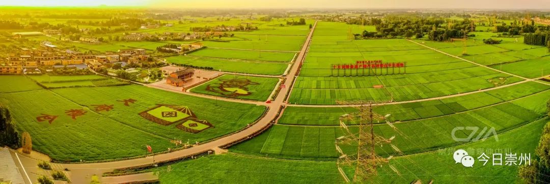 国际酒类大赛金奖！崇州好米酿出崇州好酒