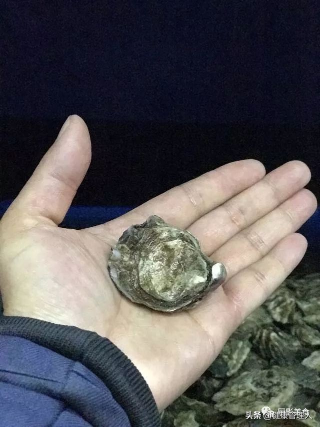 海鲜贝类品种大全及名字,22种海鲜贝类做法大全