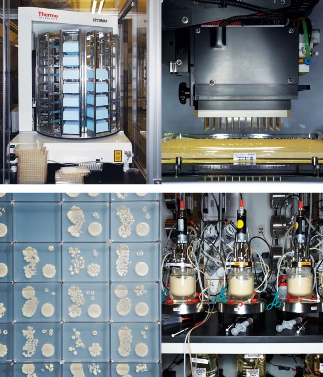 如何投资合成生物学,合成生物学投资的三大维度
