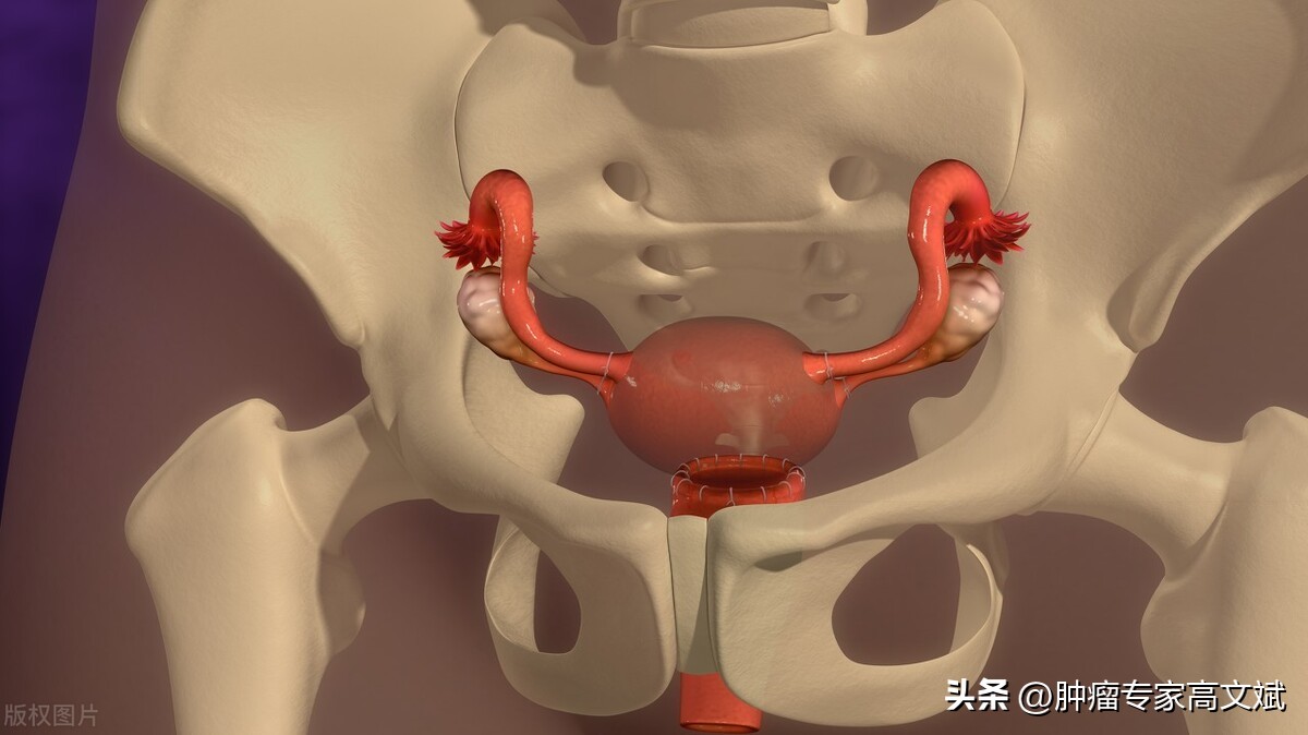 女人的病还是要男人来治,女人的病都跟男人有关