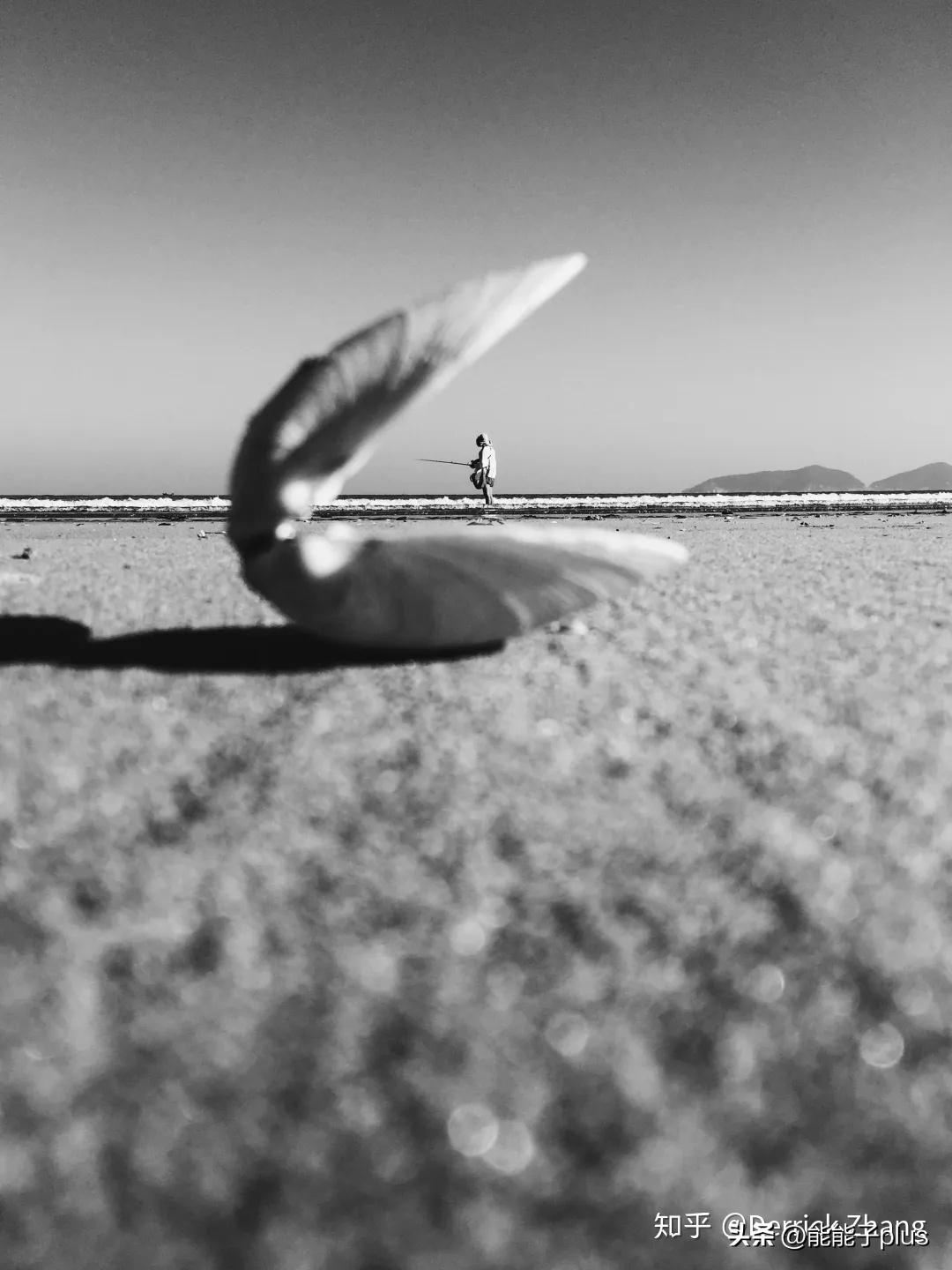 iphone12相机美颜怎么开,iphonex相机最佳设置