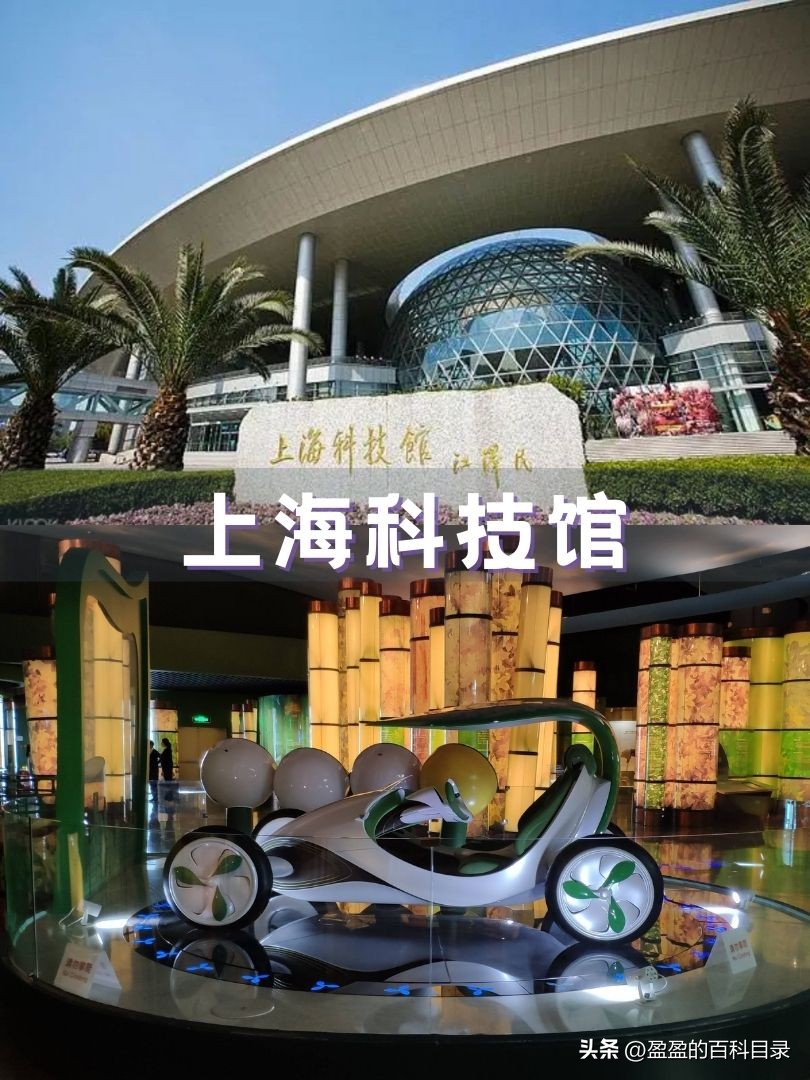 上海适合老年人去的景区,上海七日游攻略和好玩的地方推荐