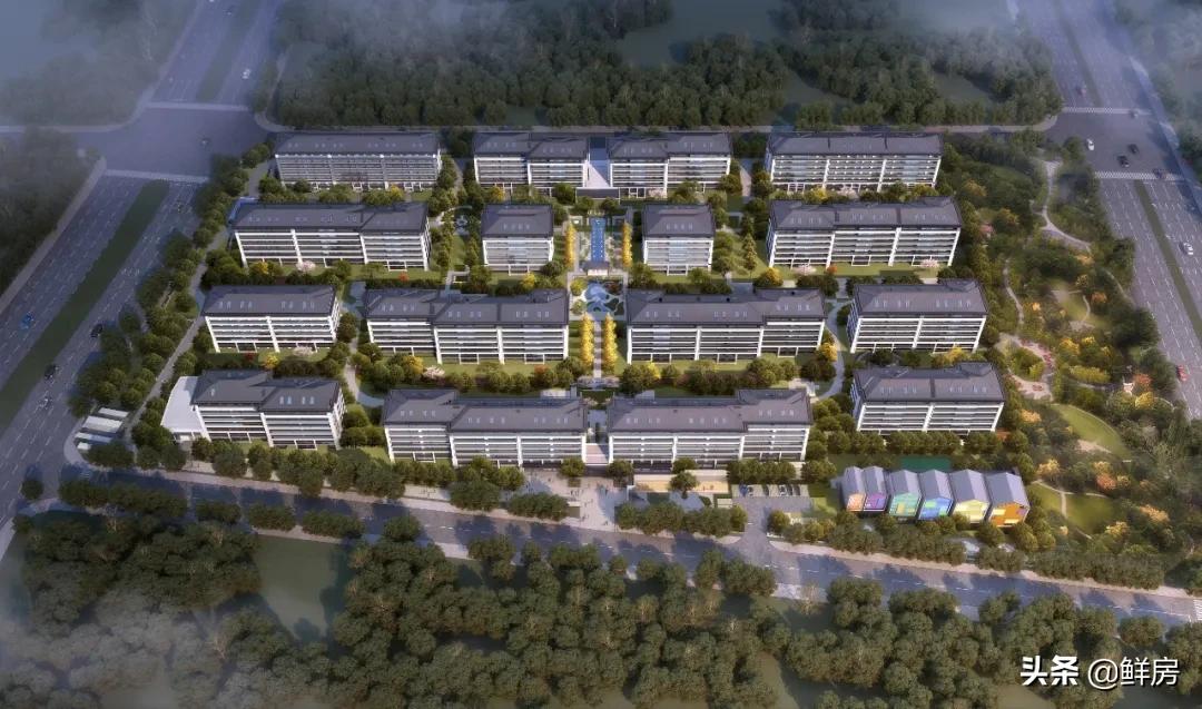 有面有范,又有面子又上档次