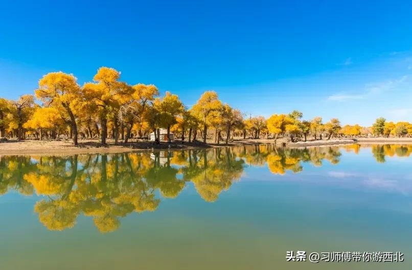 醉美胡杨深度游,额济纳胡杨林旅游攻略