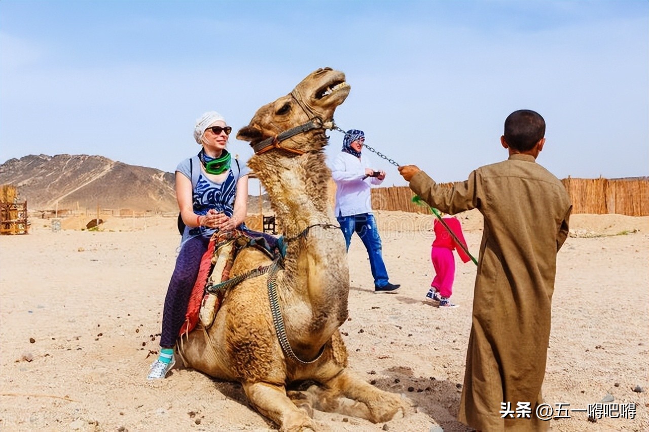 赚钱兼职在家,分享赚钱兼职任务