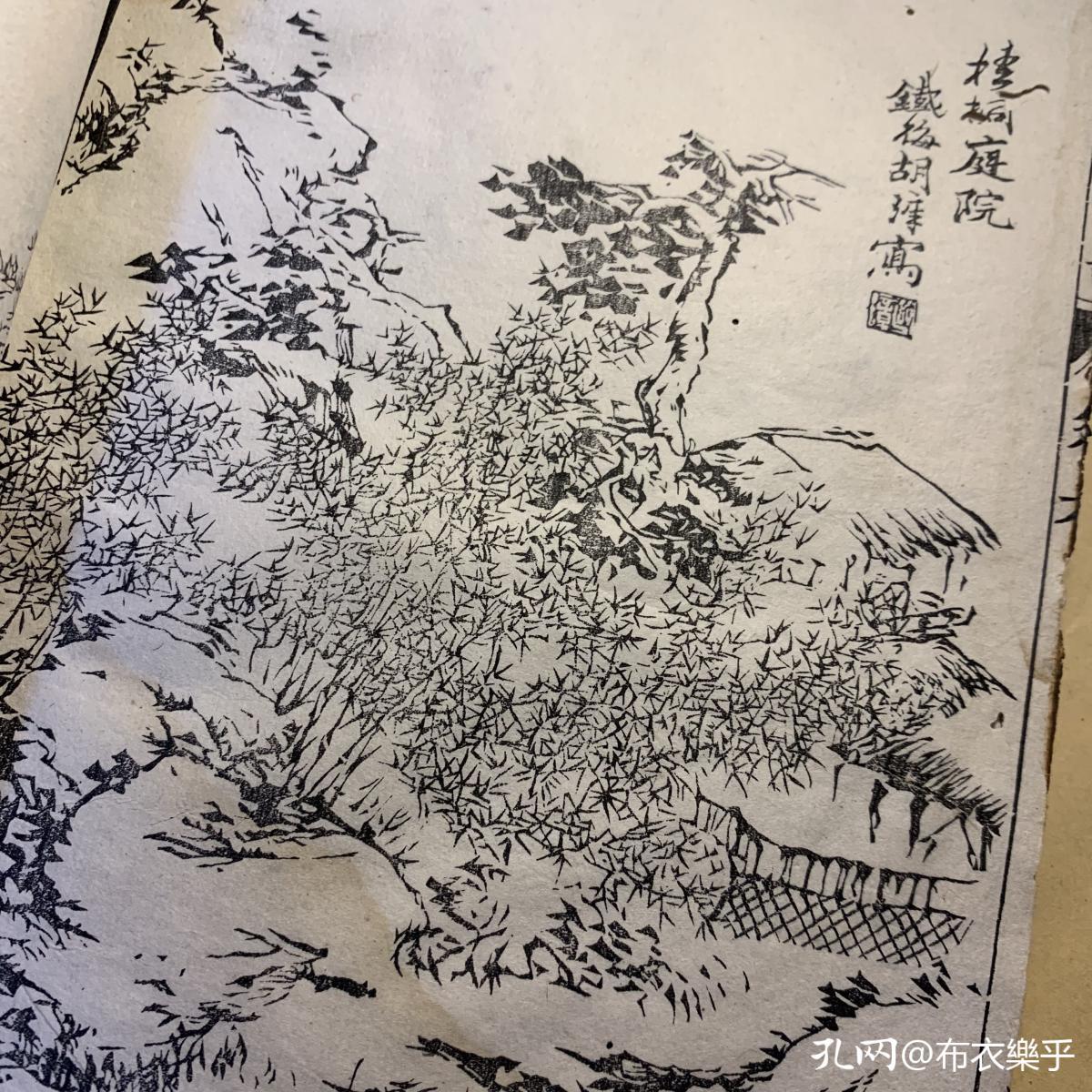 拿到木刻版《芥子园画传》时，我才明白真正的木刻线条之美