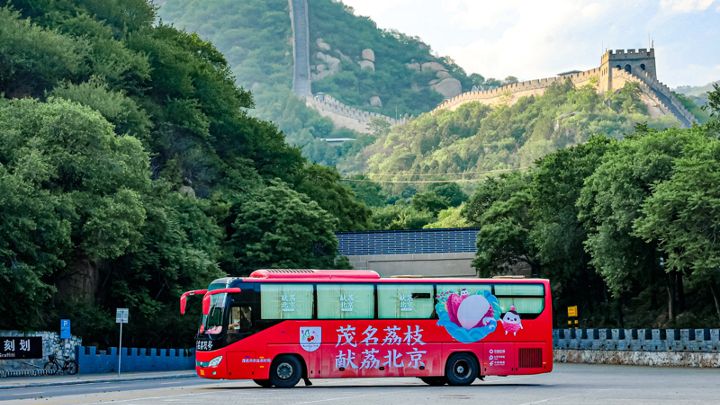 茂名当地出名的荔枝品牌,高州荔枝百亿品牌