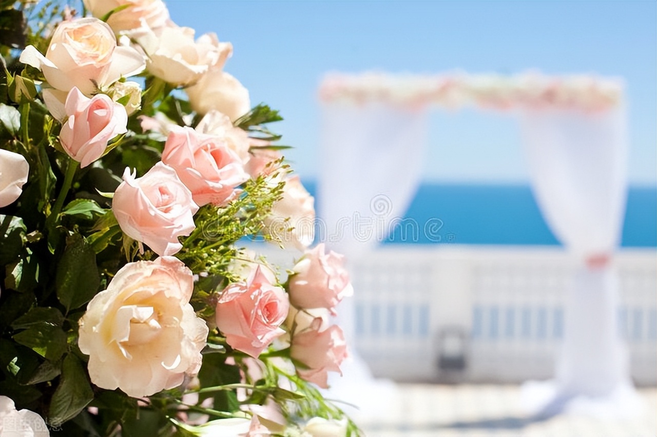 婚礼酒席菜品策划方案,婚礼仪式流程策划方案