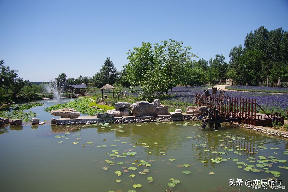 天津适合老年人旅游的十大景点,天津滨海旅游景点大全排名榜